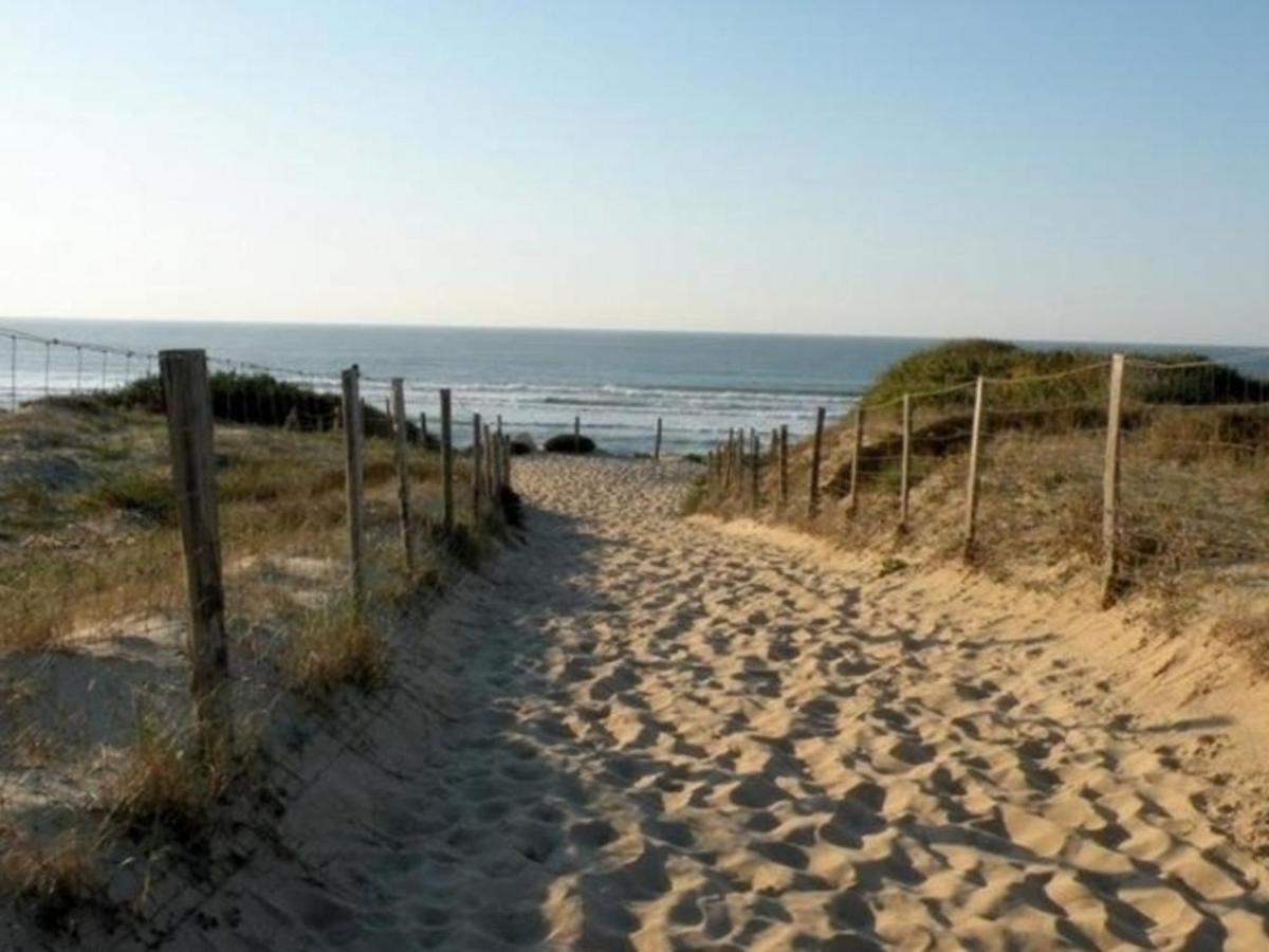 Appartement Renove Avec Balcon, Proche Plage Et Marche - 4 Pers, Calme & Confort A Seignosse - Fr-1-239-460 Luaran gambar