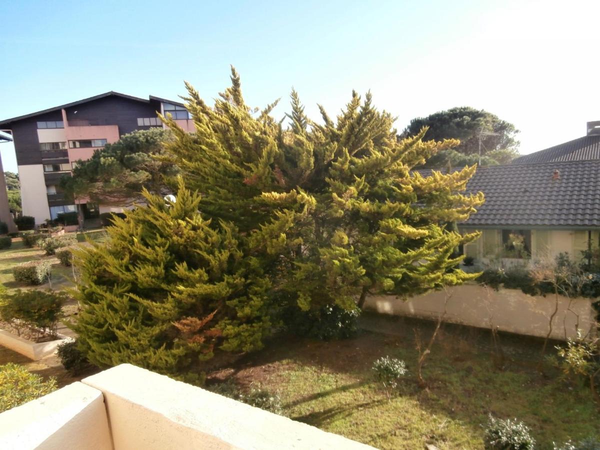 Appartement Renove Avec Balcon, Proche Plage Et Marche - 4 Pers, Calme & Confort A Seignosse - Fr-1-239-460 Luaran gambar